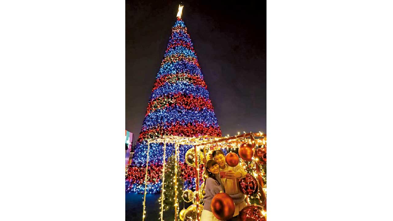 聖誕打卡必選 全港戶外最高聖誕樹閃亮維港海濱