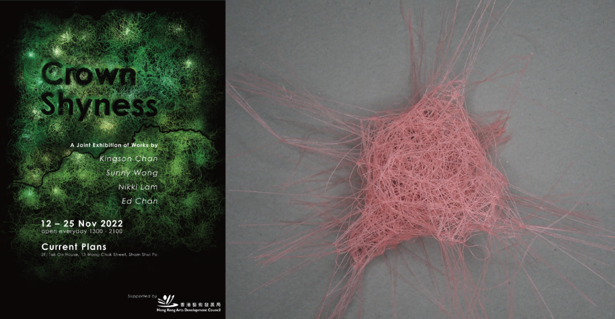 周末好去處｜樹木也有「社交距離」人卻迷失於遠近 陳健聲 黃永生 林曉彤 陳泳生《Crown Shyness》藝術聯展 