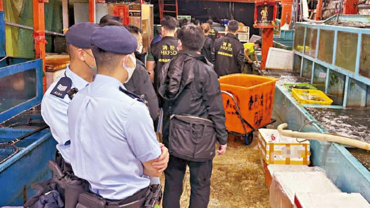 香港仔魚類批發市場有人涉合謀定價 多部門聯合行動 一批發商違租約被警告