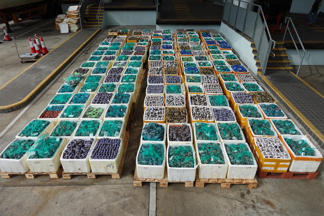 文錦渡管制站截獲5100公斤走私大閘蟹  市值240萬