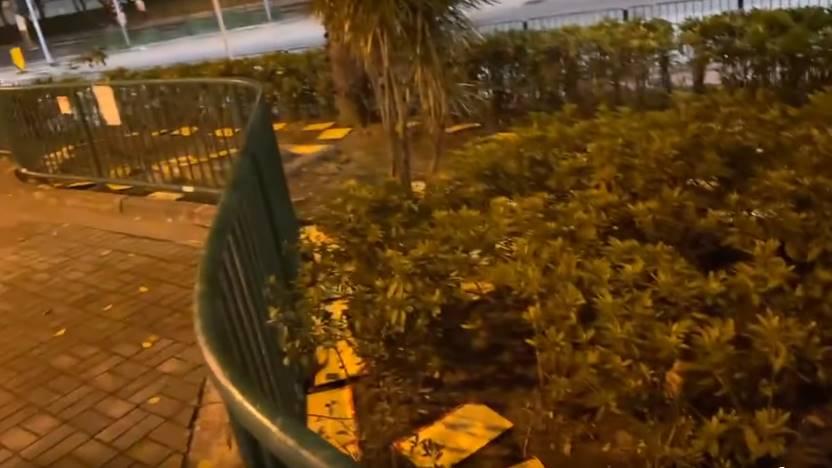 網上熱話｜屯門蝴蝶邨現百塊「老鼠膠板陣」　網民：無隻中喎！