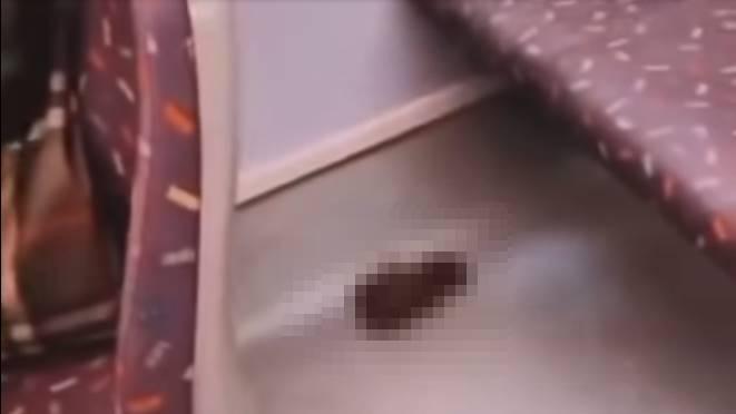 網上熱話︱新巴上層疑有人隨地大便　網民：咁大堆，急到瀨屎？