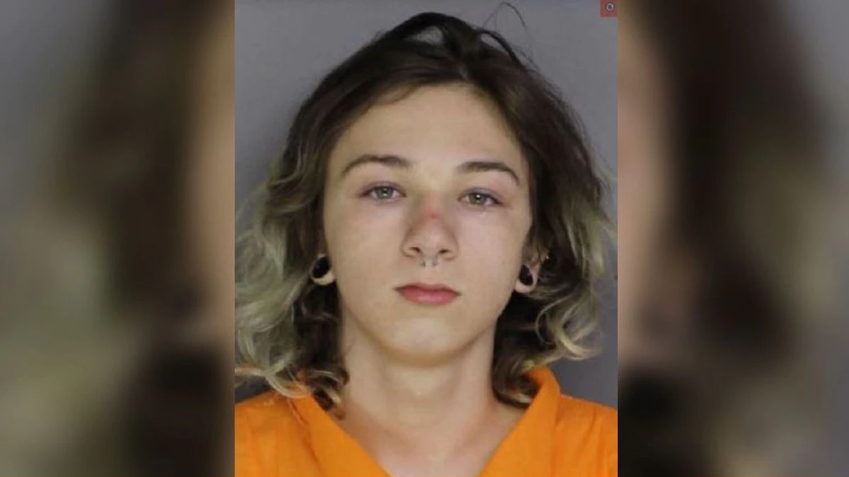 16歲少年殺友後IG視像求助「點處理屍體」旋即被捕