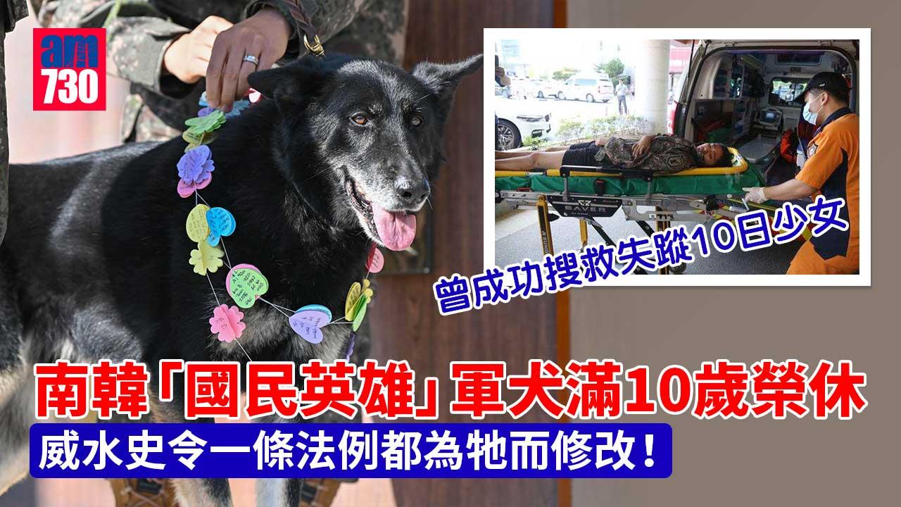 南韓「國民英雄」軍犬滿10歲榮休　曾成功搜救失蹤10日少女