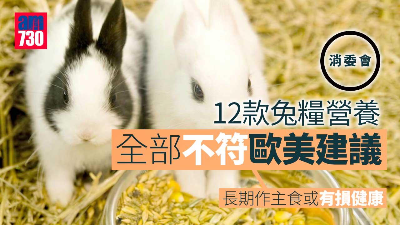 消委會｜全部兔糧營養不符歐美建議　長期作主食或有損健康