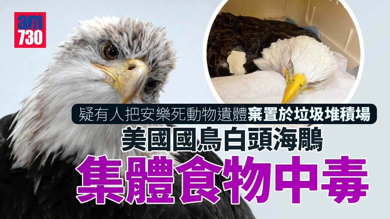 食物中毒｜誤食安樂死動物遺體　害牠們3死10傷