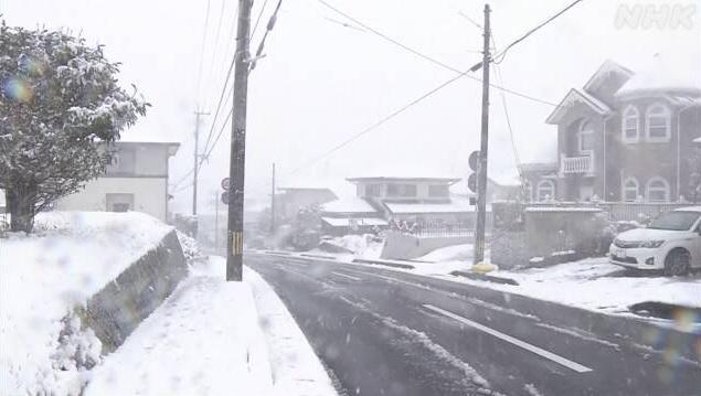 鹿兒島白雪茫茫。(互聯網)