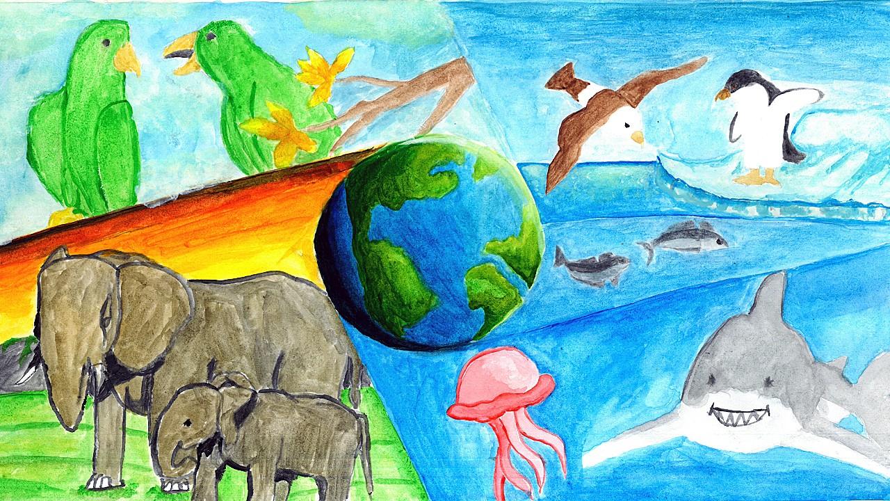 來源：廠商會蔡章閣中學  4B 魯山宏 KUNWAR Roshan同學 題目：為甚麼「生物多樣性」重要？