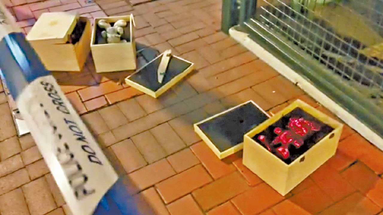 手辦店東主交收遇持錘賊黨 遭劫5萬元「米奇老鼠」