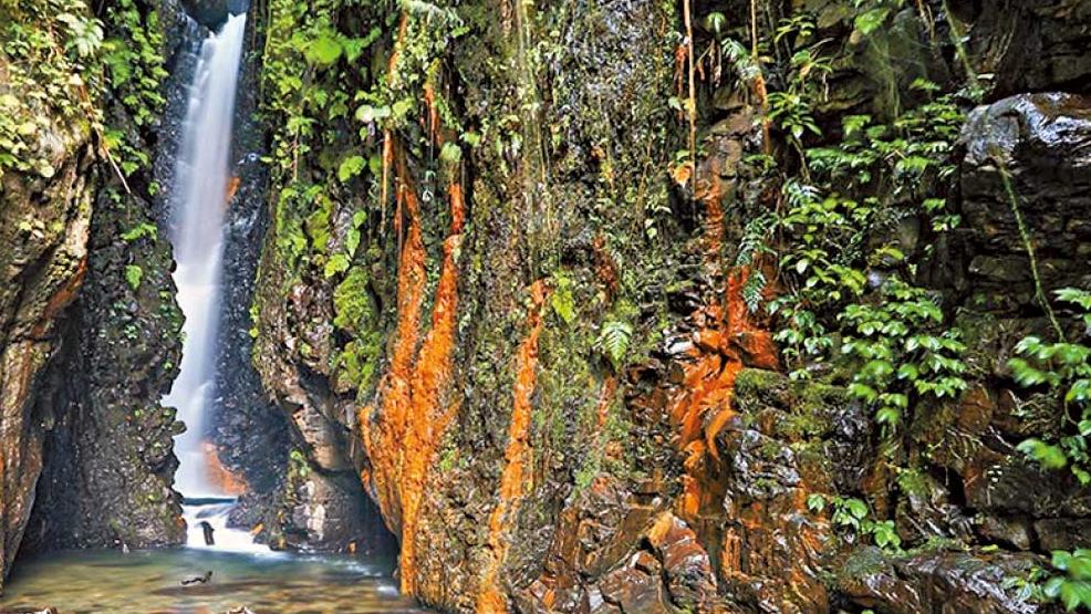 南投武界部落深度遊 一睹難忘日出雲海