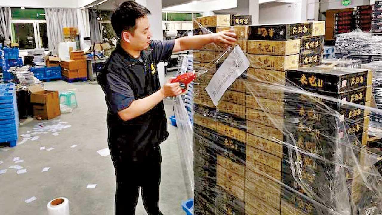 案值5000萬 檢逾百噸產品 上海搗盜版劇本殺集團