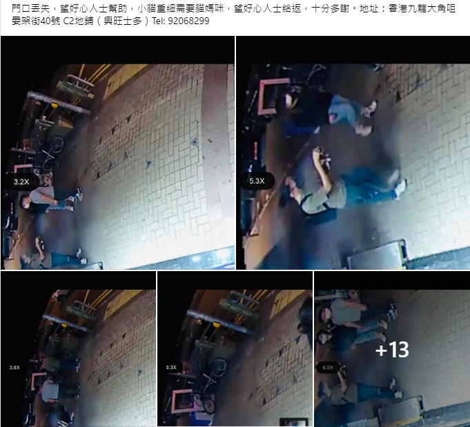 大角咀士多貓B疑失竊 陌生男抱走一周未歸還