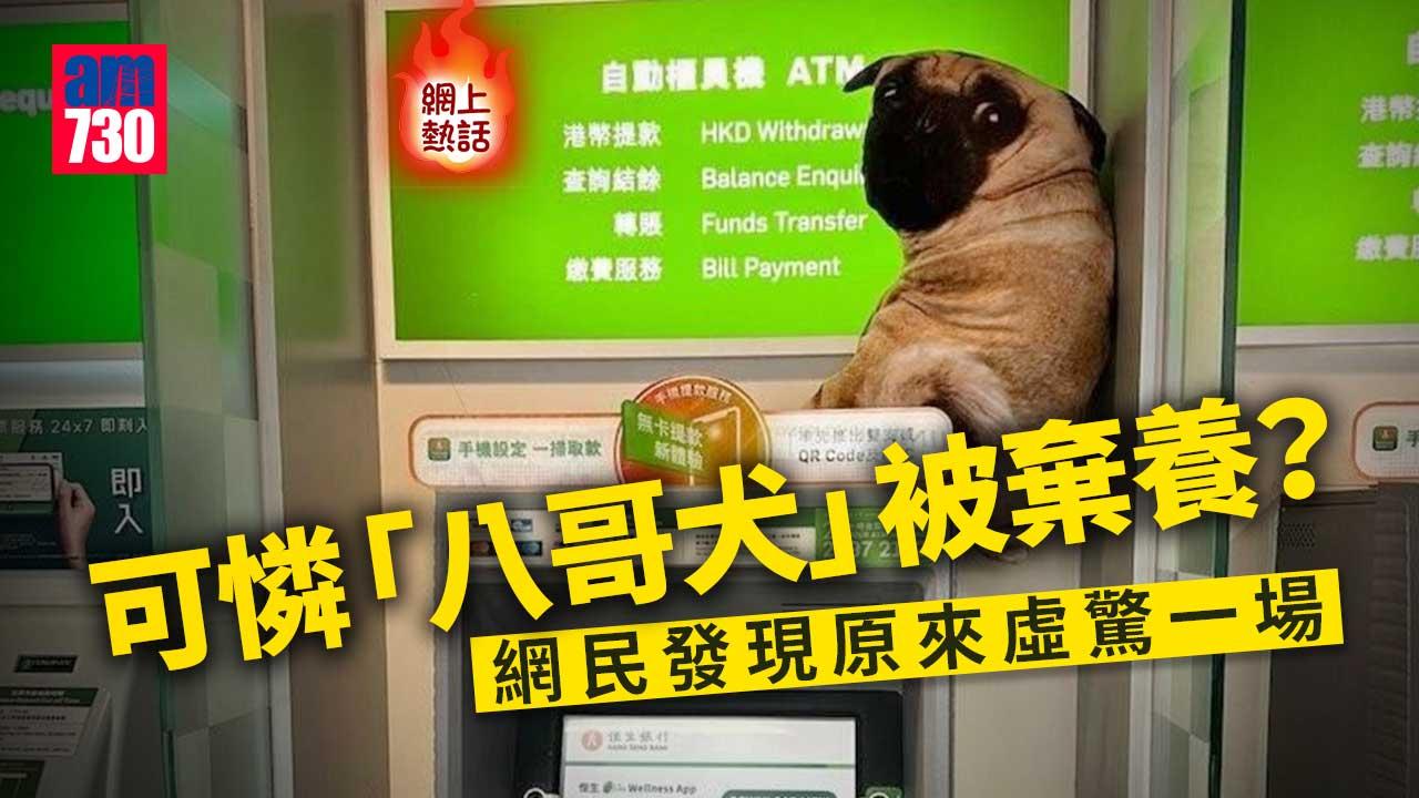 網上熱話｜可憐「八哥犬」遭遺棄沙田港鐵站？網民笑稱：呢隻可以領養