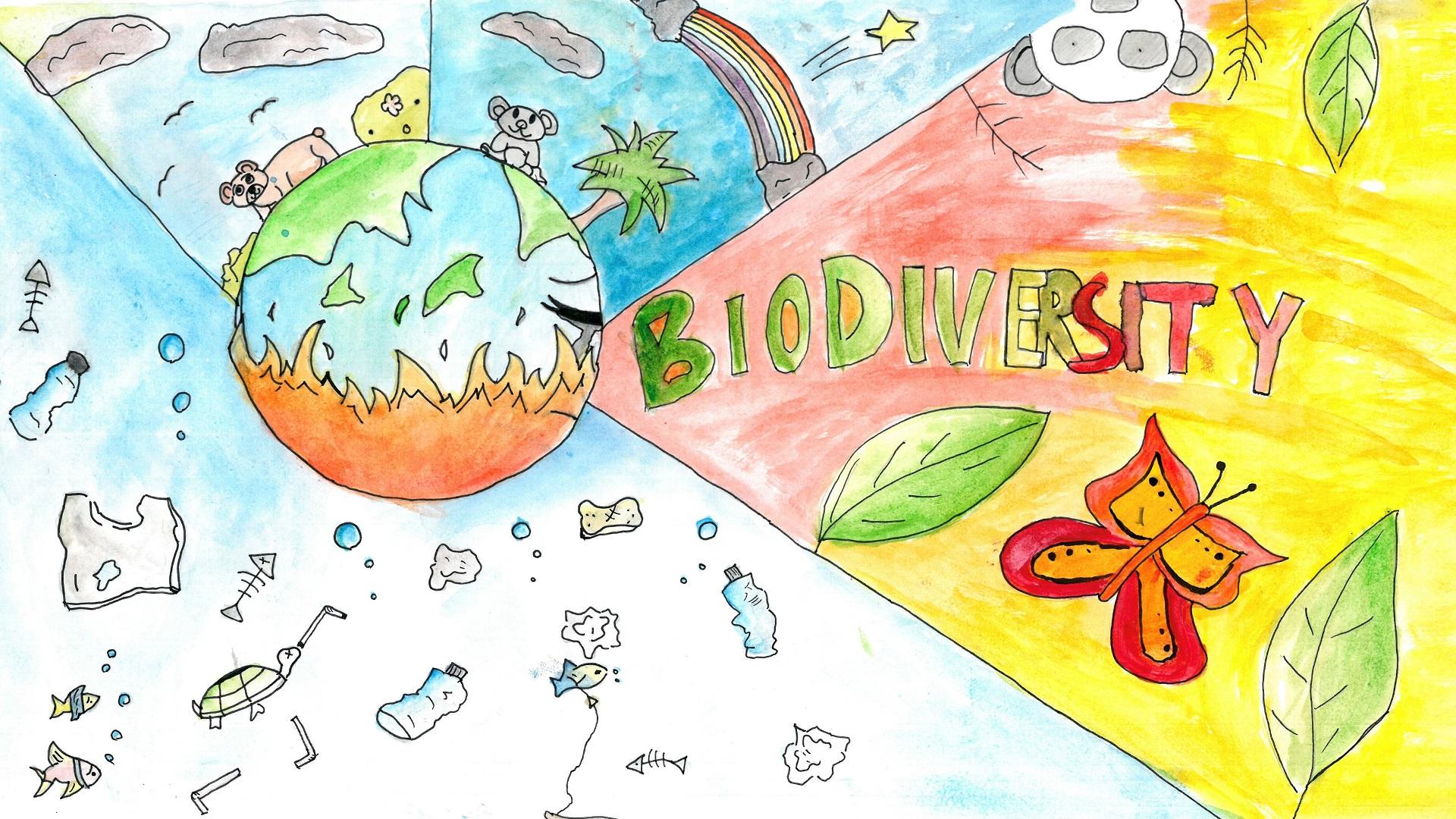 來源：廠商會蔡章閣中學 4C 胡綺莉 ILYAS Shehzadi Hoor同學 題目：BIODIVERSITY