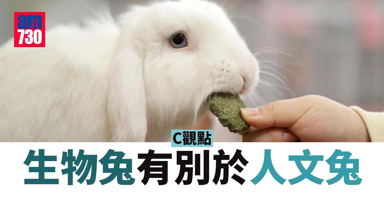生物兔有別於人文兔