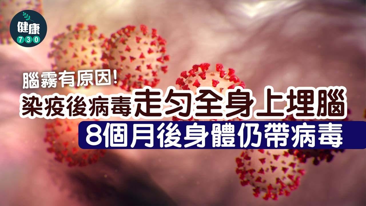 腦霧有原因 染疫後病毒走勻全身上埋腦