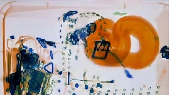 機場X光見行李喼藏詭異條狀物，打開驚見活蟒蛇。(Twitter)