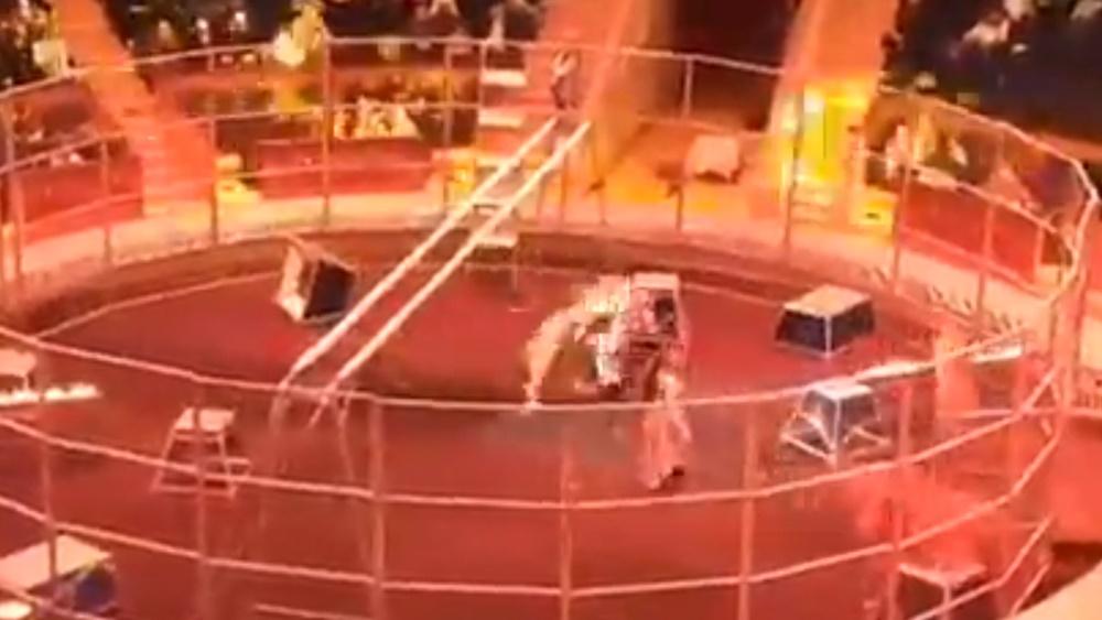 馬戲團獅子突襲馴獸師獲妻出手相救，事後向獅掟登洩忿。(Twitter)