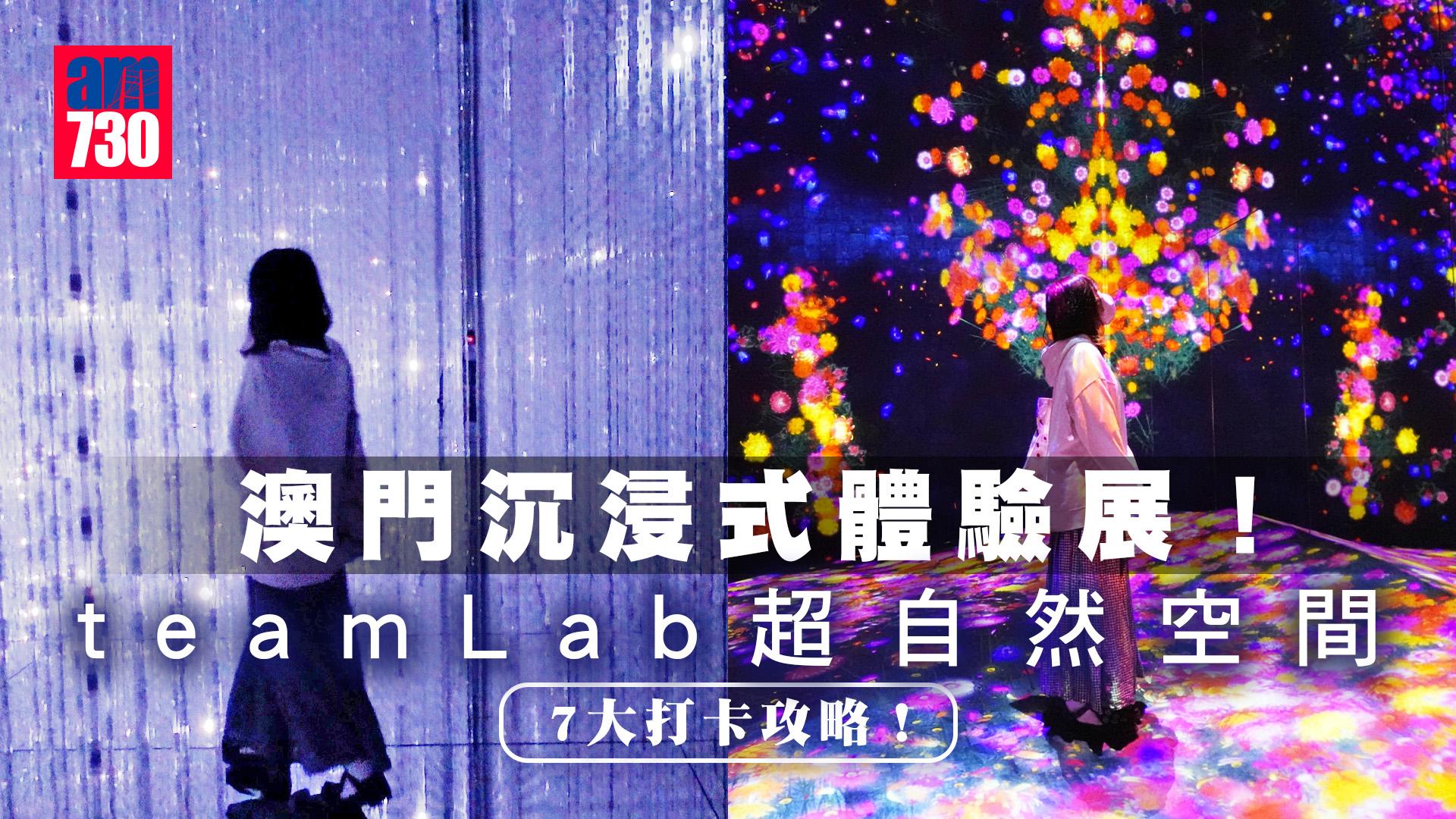 澳門旅遊2023｜澳門新景點teamLab超自然空間 來自日本的沉浸式體驗展覽 一點前入場平$80！