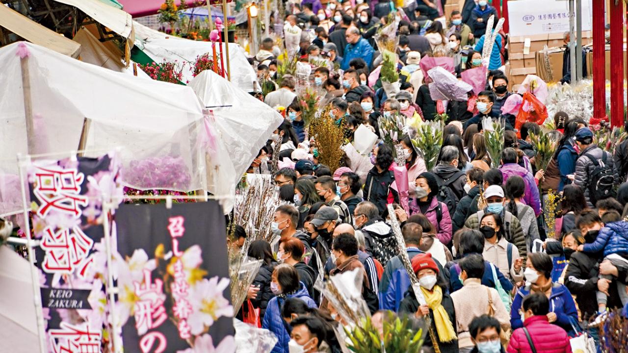 圖輯｜兔來運轉