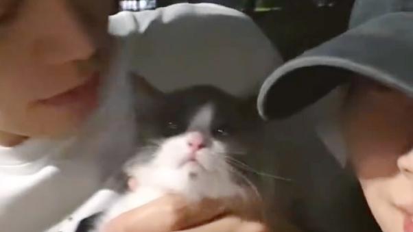 網上熱話｜浙女為貓咪辦年貨 結果成功脫單