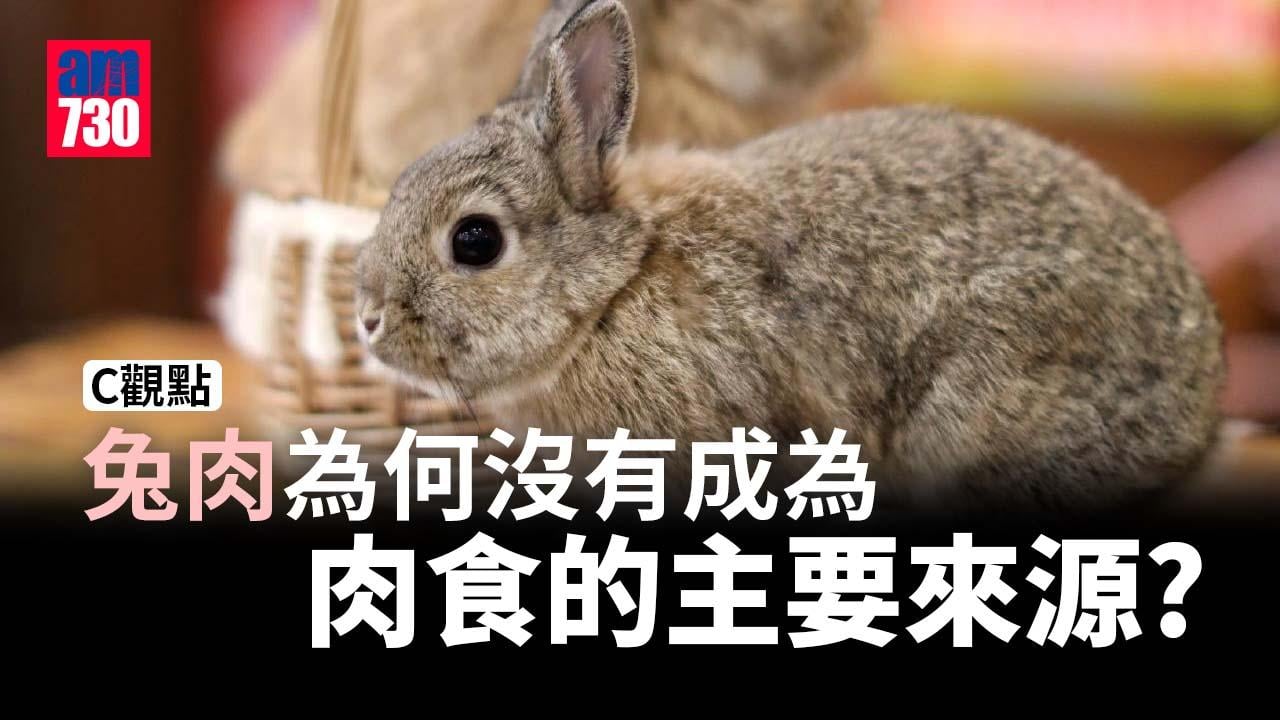 兔肉為何沒有成為肉食的主要來源？