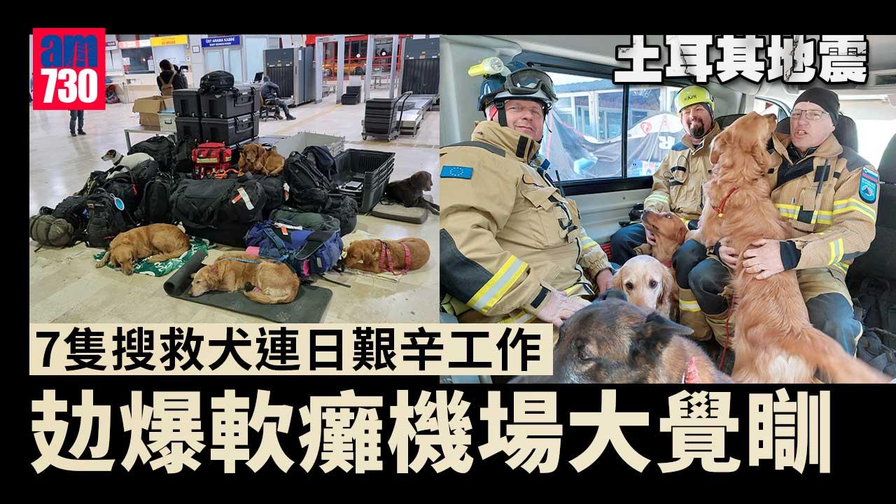 土耳其地震｜斯洛文尼亞7隻搜救犬有5隻受傷　攰爆軟癱機場大覺瞓