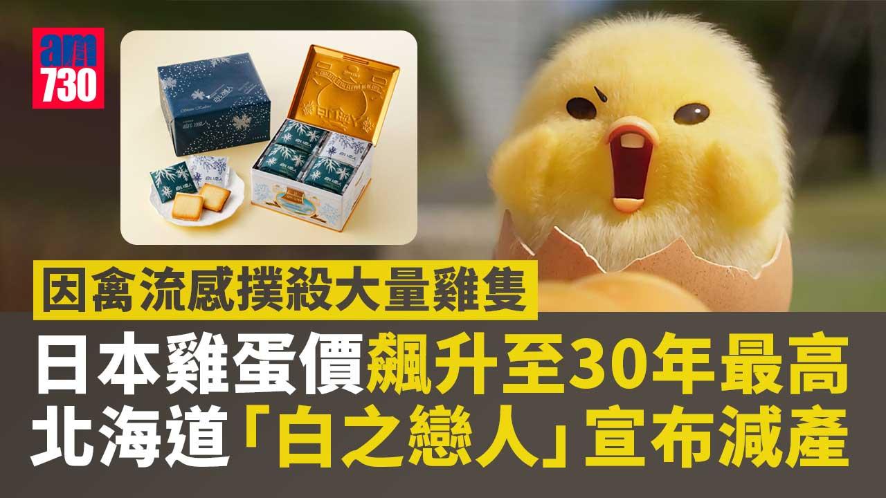 日本蛋價飛漲雞蛋短缺-北海道「白之戀人」減產-食店停售溫泉蛋