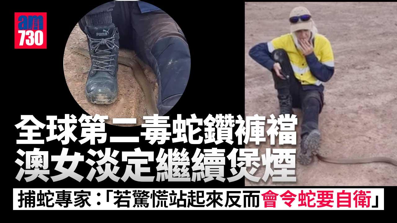 臨危不亂｜全球第二毒蛇鑽褲襠　澳女淡定繼續煲煙(有片)