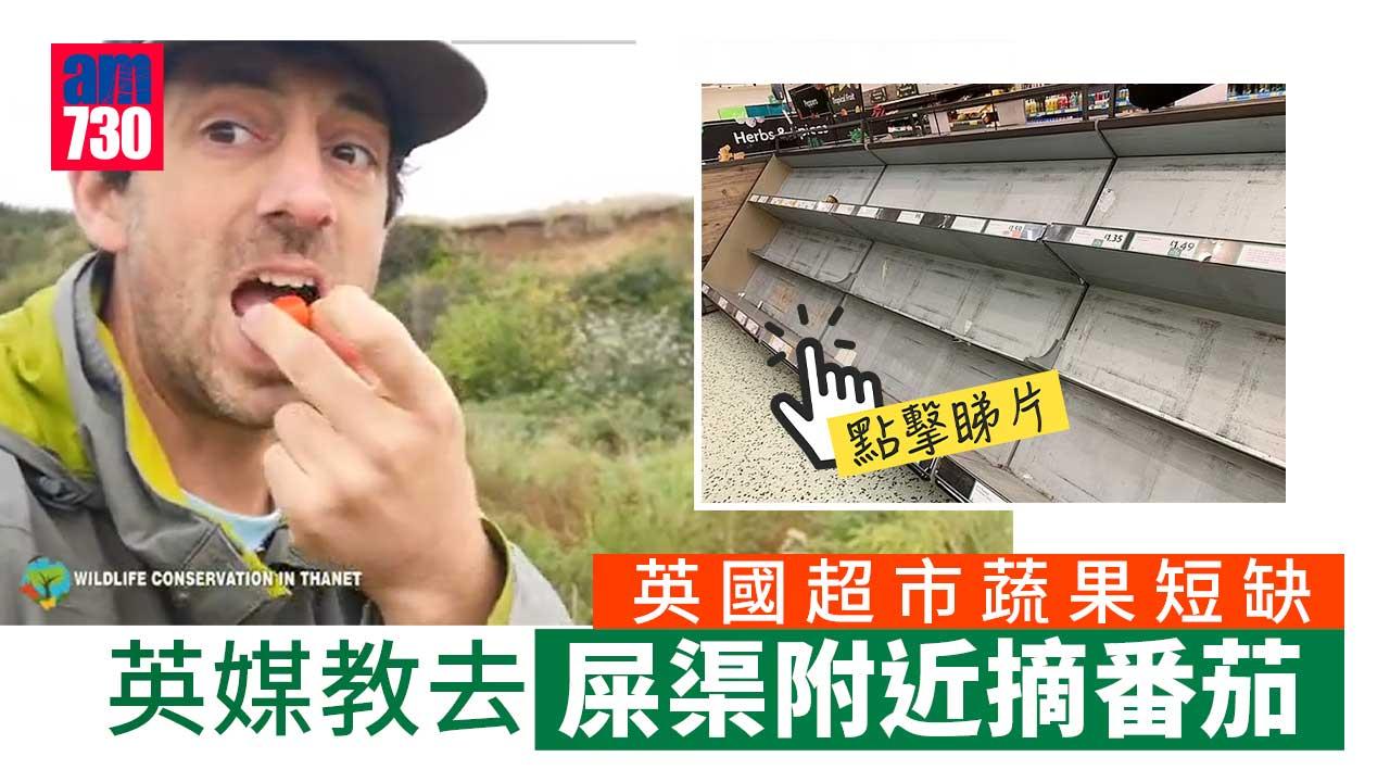 英國超市蔬果短缺 英媒教路︰去屎渠附近採摘番茄(有片)