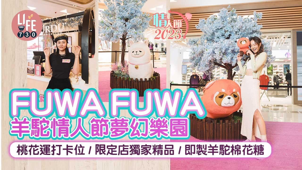 情人節好去處｜FUWA FUWA羊駝情人節夢幻樂園 桃花運打卡位/限定店獨家精品/即製羊駝棉花糖