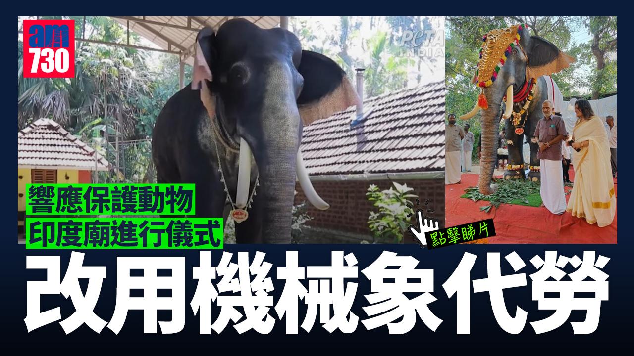 響應動物保護 印度廟改用機械象執行敬拜儀式(有片)