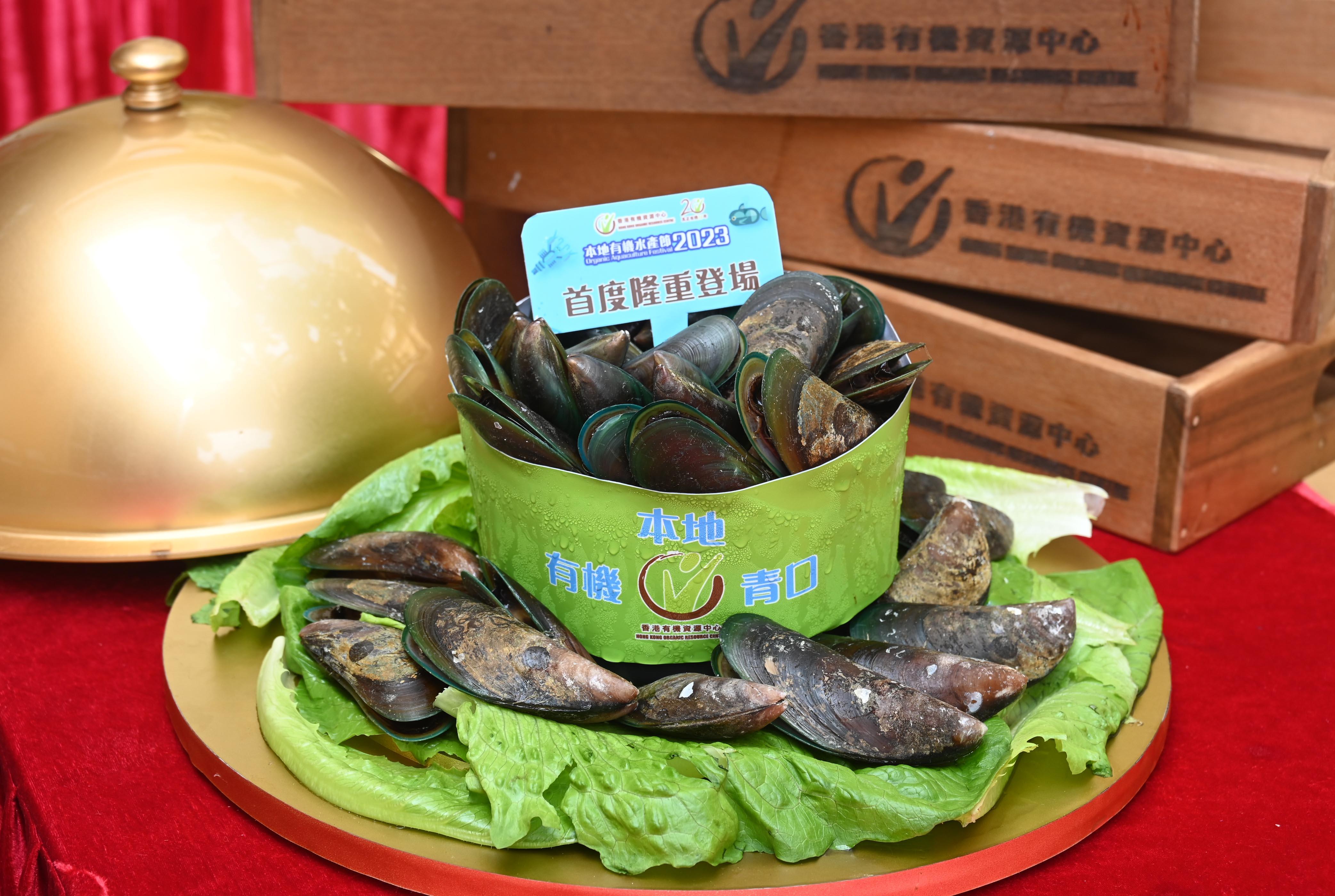 養殖戶成功繁殖本地有機青口