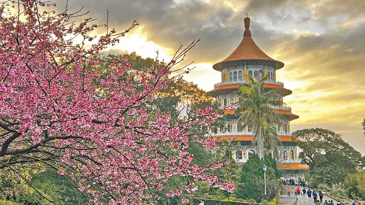 配合促銷活動豪送50萬份 台灣派千三元自由行消費金