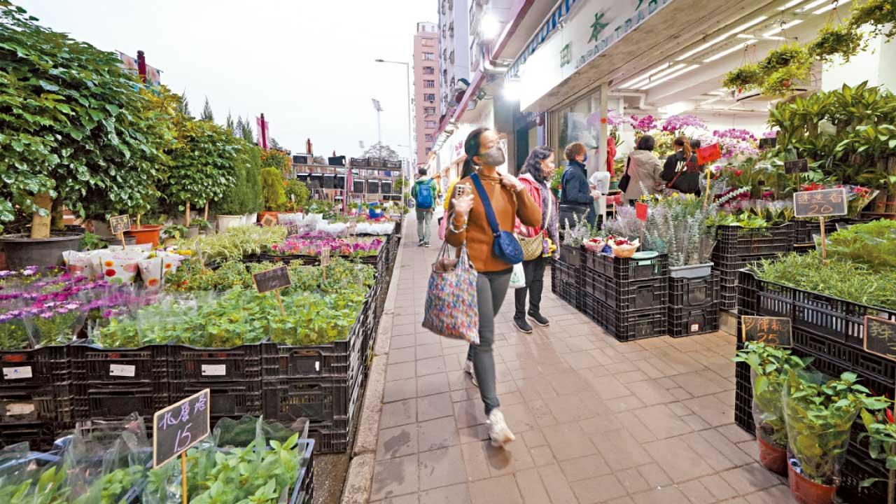 申訴專員查阻街 批食環執法寬緊不一 倡加刑罰 研累進式罰款