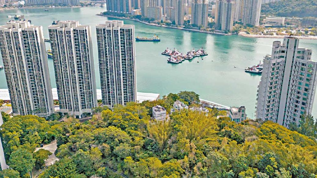 今年首批｜嘉里逾14億奪寶豐路地皮