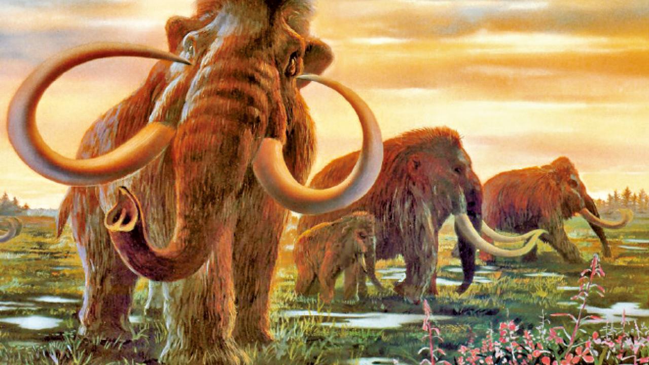 「象牙世家」街知巷聞