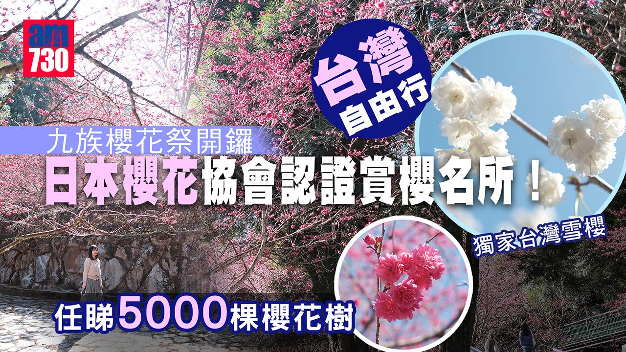 台灣自由行｜2023櫻花季開鑼！南投九族櫻花祭 最新獨家純白色「台灣雪櫻」 全區5000棵櫻花樹任睇任影
