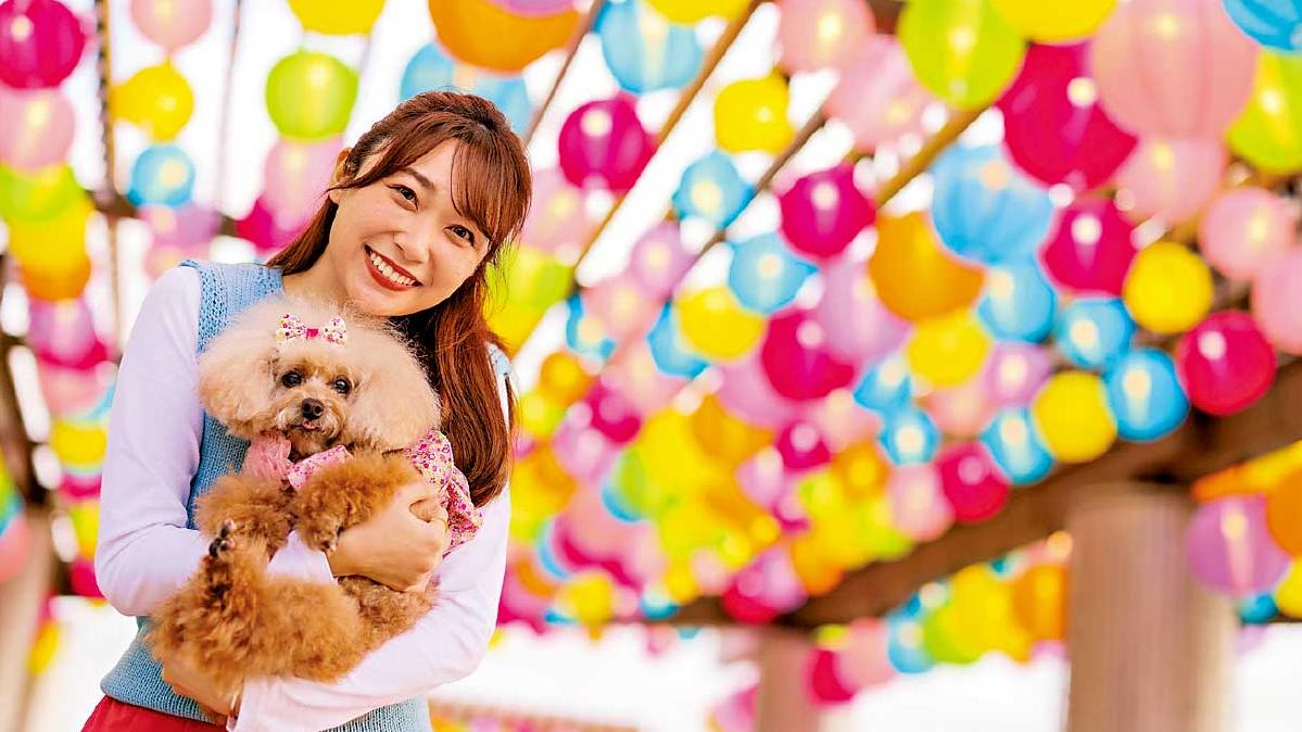 山頂廣場 幻彩天幕