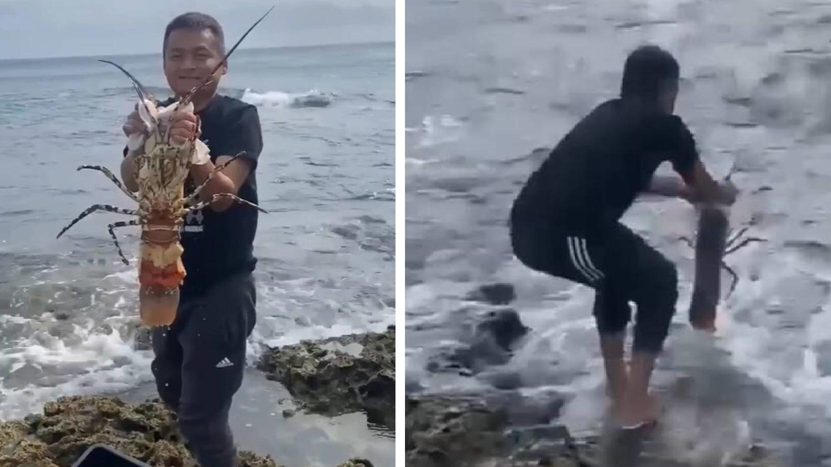 倒錢落海？恆春海產店老闆放生巨型龍蝦 原因網民讚爆