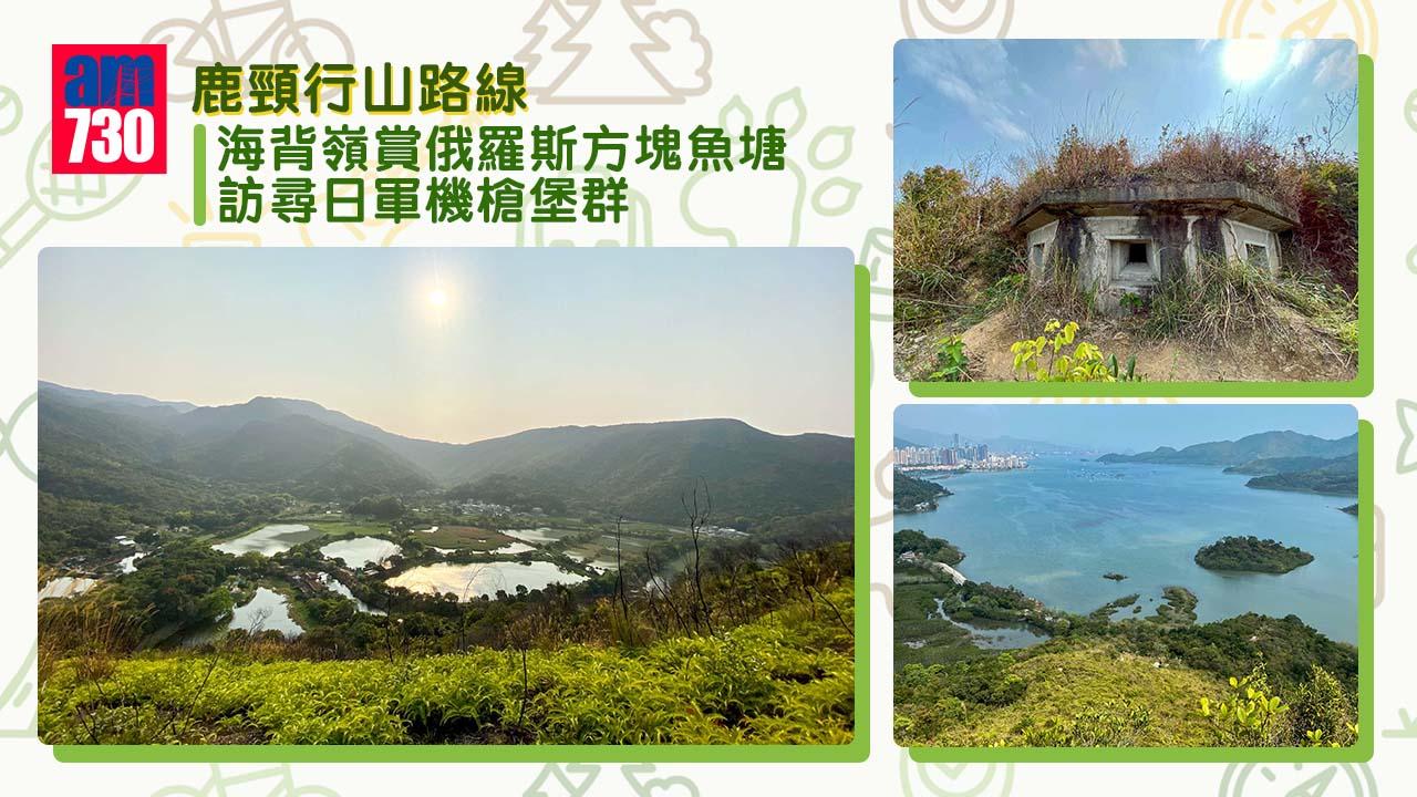 鹿頸行山︱海背嶺賞俄羅斯方塊魚塘 訪尋日軍機槍堡群