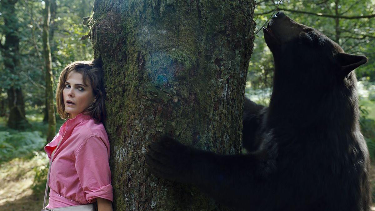 大毒BEAR｜1985年真熊真事 500磅黑熊吸下70磅可卡因大開殺界