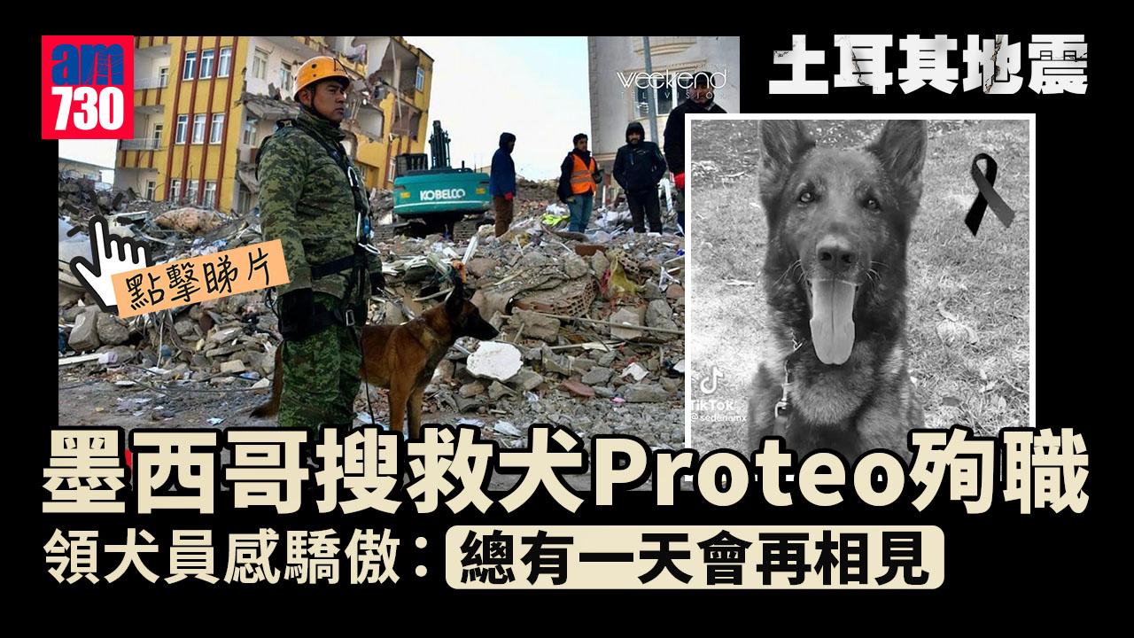 土耳其地震｜墨國搜救犬Proteo殉職　領犬員：總有一天會再相見(有片)