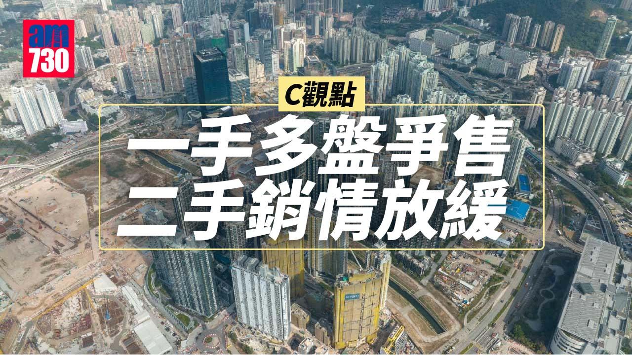 一手多盤爭售 二手銷情放緩 