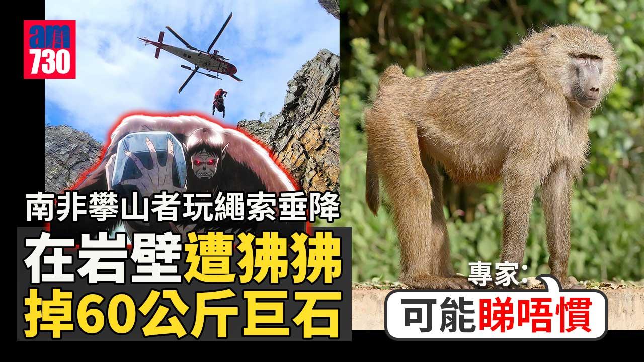 南非攀山者遭狒狒掉60公斤巨石壓斷腳　專家：可能睇唔慣