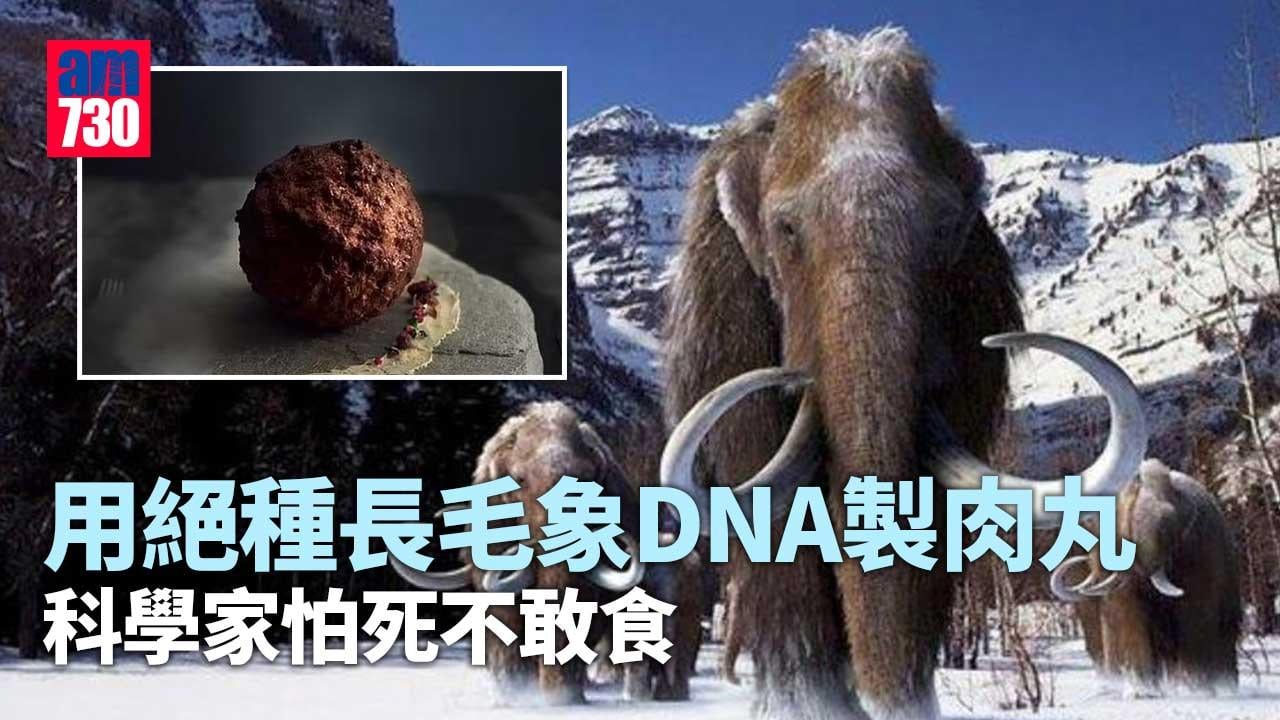 用長毛象DNA做出「史前肉丸」 科學家怕死不敢食