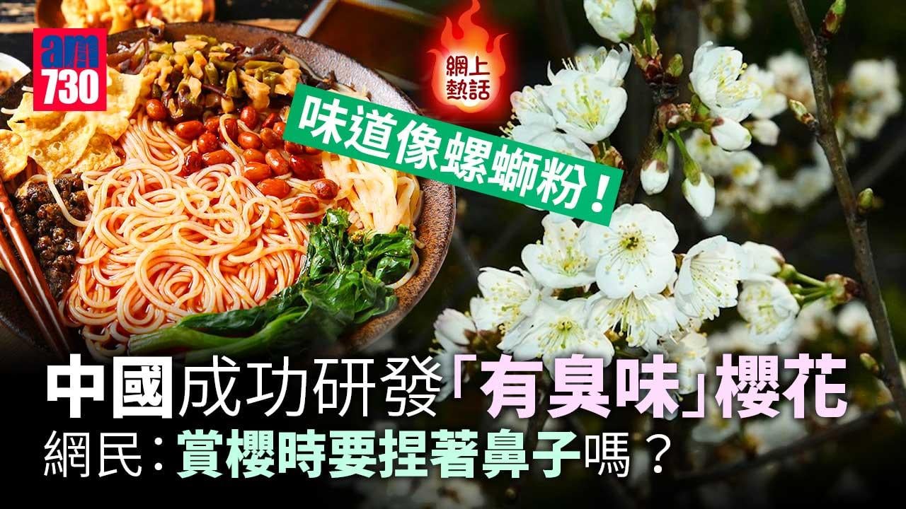 網上熱話｜中國成功培育新品種「螺螄粉味」櫻花　網民：蜜蜂會吐吧？