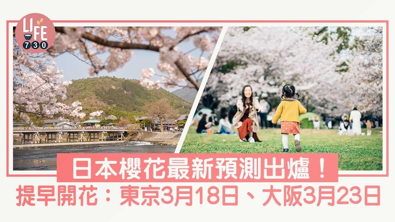 日本櫻花2023｜最新櫻花預測出爐！日本各地提早開花：東京3月18日、大阪3月23日、北海道4月25日