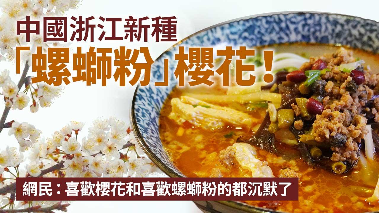 中國浙江新種「螺螄粉」櫻花！網民：喜歡櫻花和喜歡螺螄粉的都沉默了