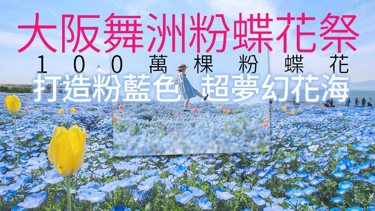 大阪櫻花｜大阪舞洲粉蝶花祭4.7開催！100萬棵粉蝶花打造粉藍色超夢幻花海、早鳥優惠低至76折只需$60/位（附購買連結）